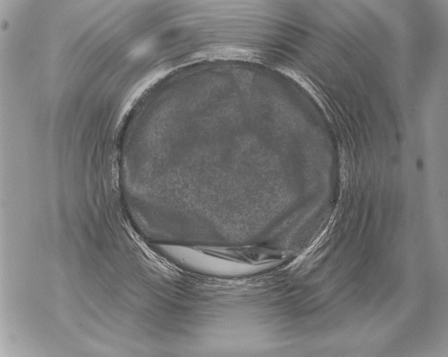 X0000071851115200607290125