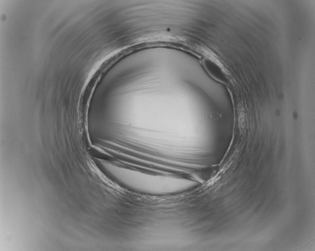 X0000071851116200607290125