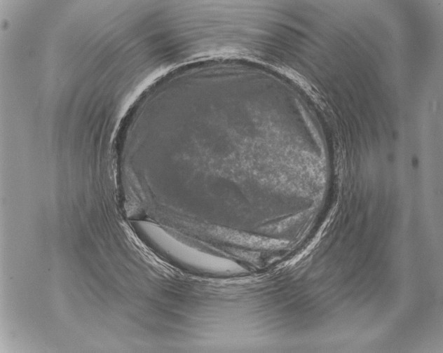 X0000071851118200607290125