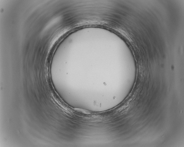 X0000071851119200607290126