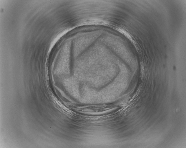 X0000071851120200607290126