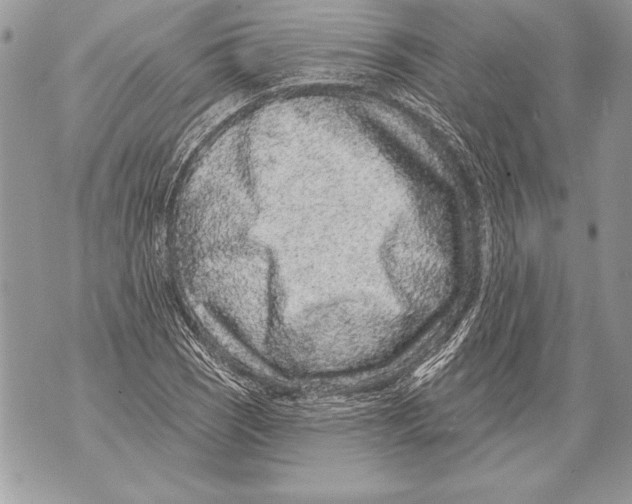 X0000071851121200607290126