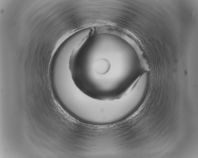 X0000071851122200607290126