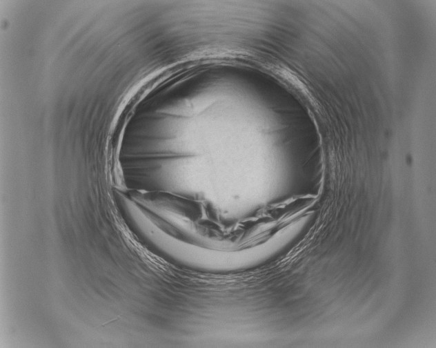 X0000071851124200607290126