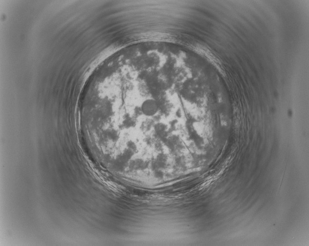 X0000071851125200607290126