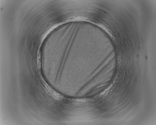 X0000071851126200607290126