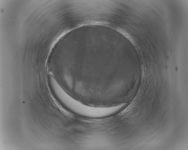 X0000071851127200607290126