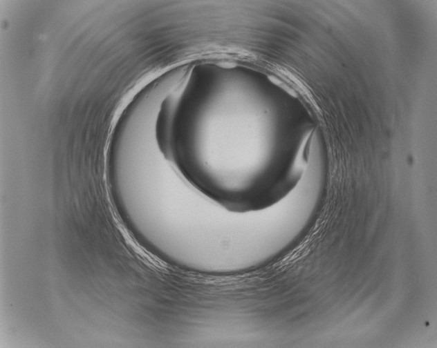 X0000071851128200607290126