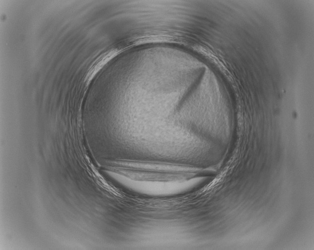 X0000071851129200607290126