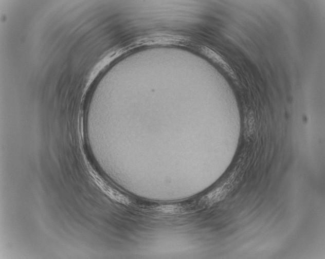 X0000071851130200607290126