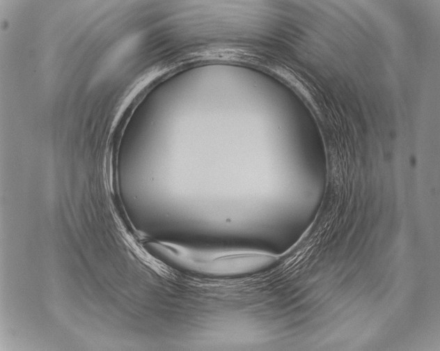 X0000071851131200607290126