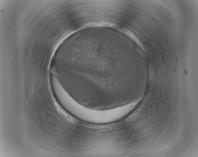 X0000071851132200607290126