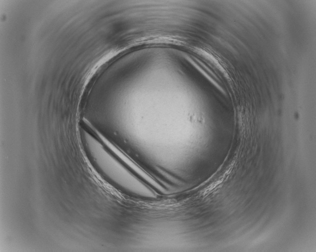 X0000071851133200607290126