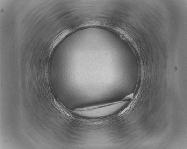 X0000071851137200607290126