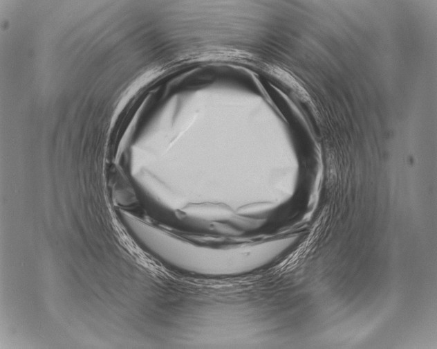 X0000071851138200607290126