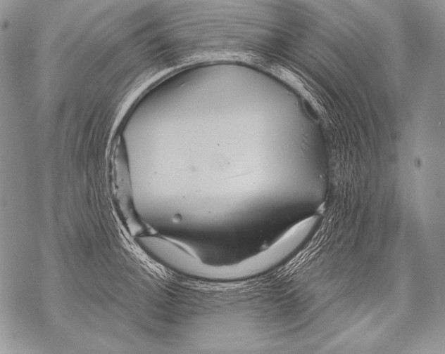 X0000071851140200607290126