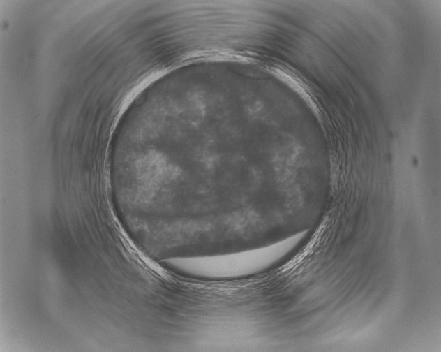 X0000071851141200607290126