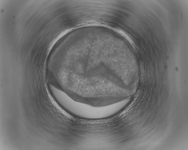 X0000071851142200607290126