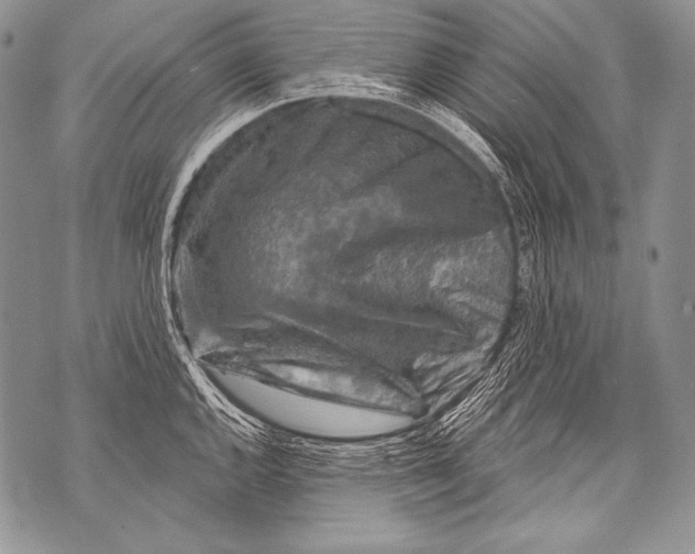 X0000071851144200607290126