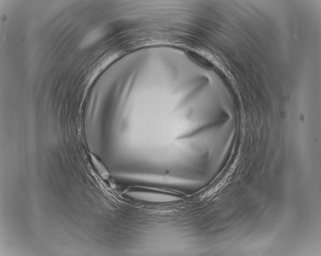 X0000071851145200607290126