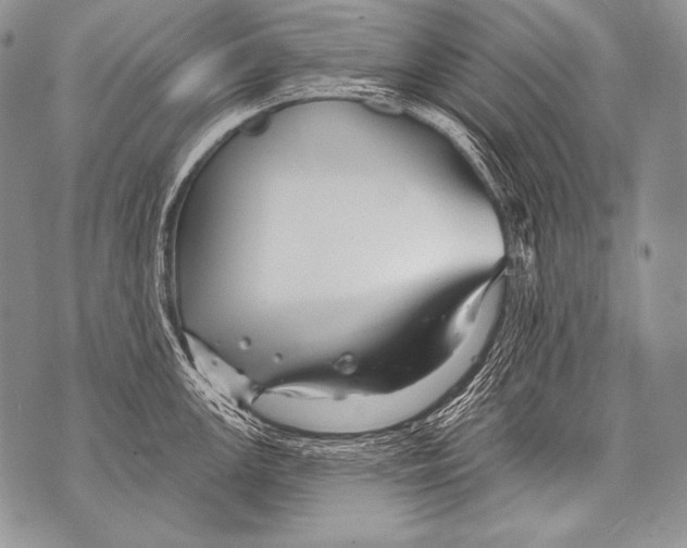 X0000071851147200607290126