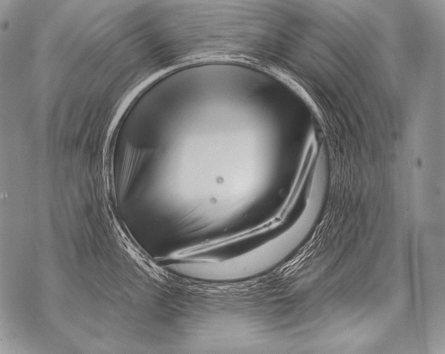 X0000071851148200607290126