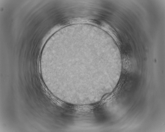 X0000071851150200607290126