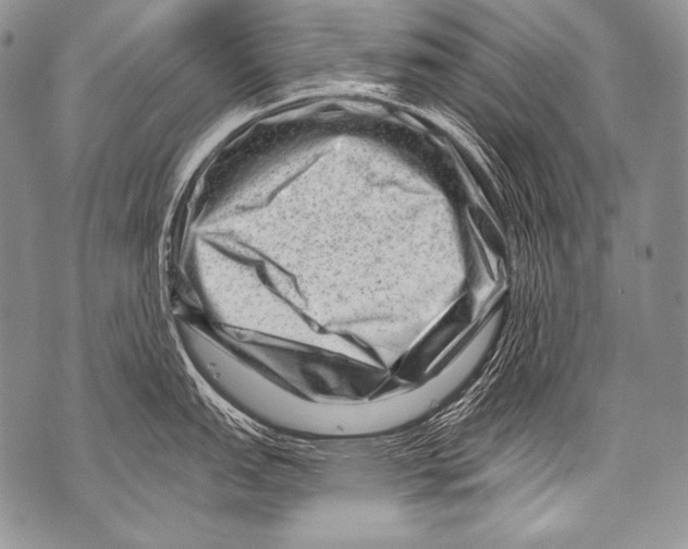 X0000071851151200607290126