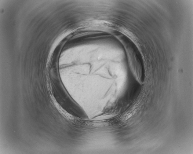 X0000071851152200607290126