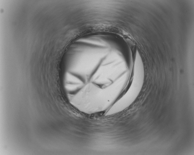 X0000071851153200607290125