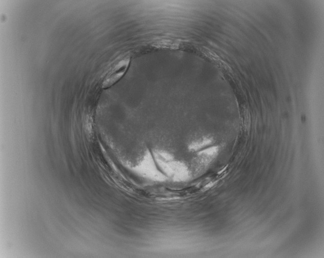 X0000071851154200607290125