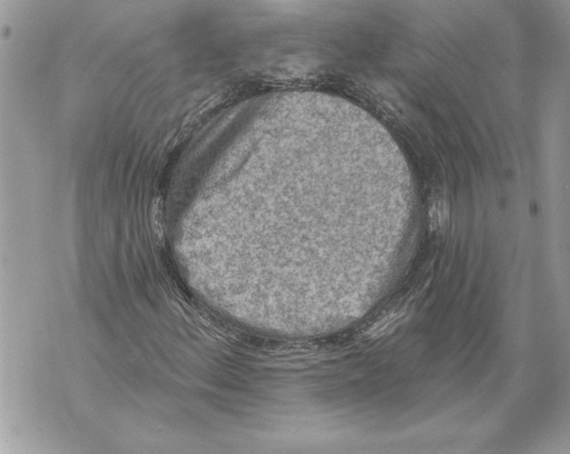 X0000071851156200607290125