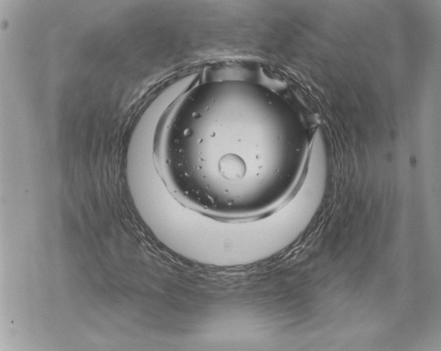 X0000071851157200607290125