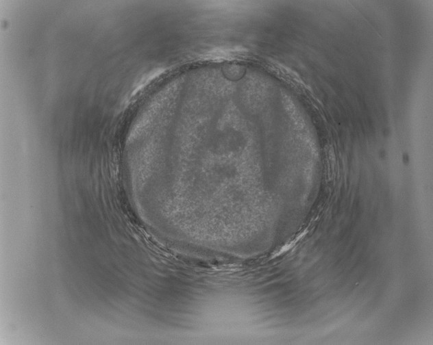 X0000071851158200607290125