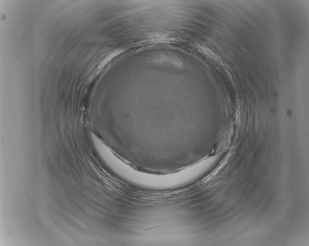 X0000071851161200607290125