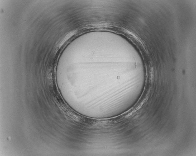 X0000071851162200607290125