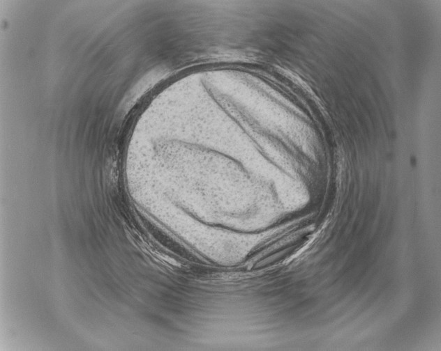 X0000071851163200607290125