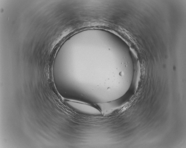 X0000071851165200607290125