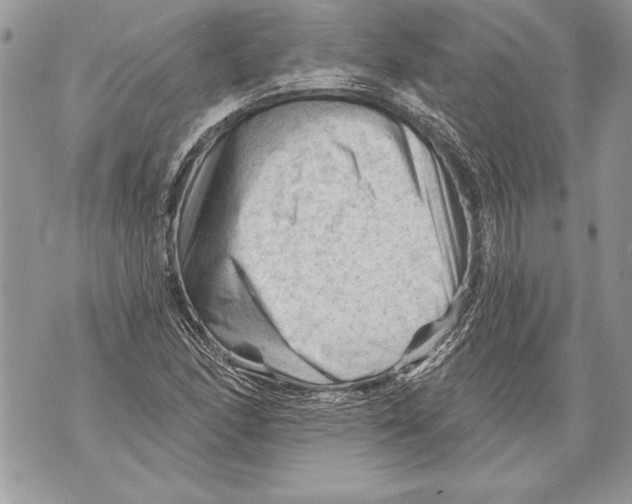 X0000071851166200607290125