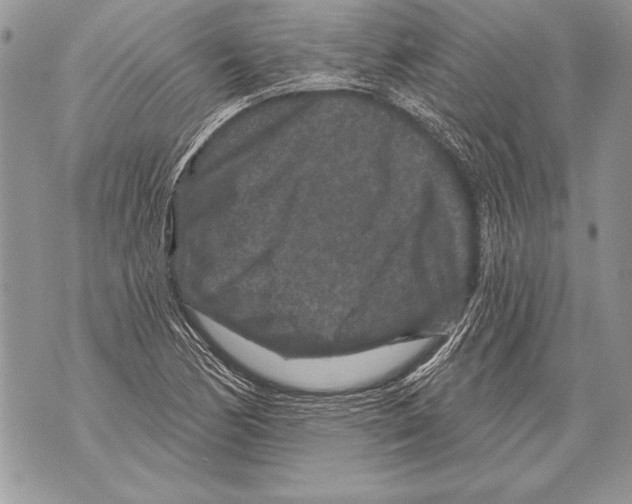 X0000071851170200607290125