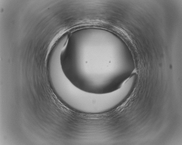 X0000071851172200607290125