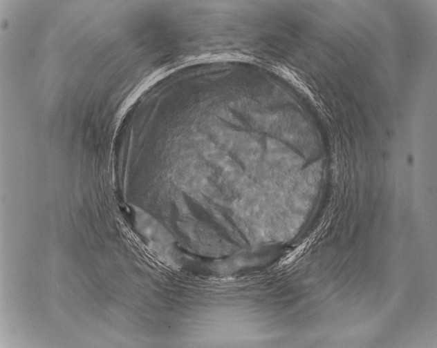 X0000071851173200607290125