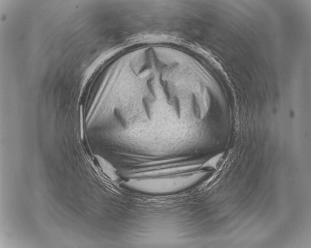 X0000071851175200607290125