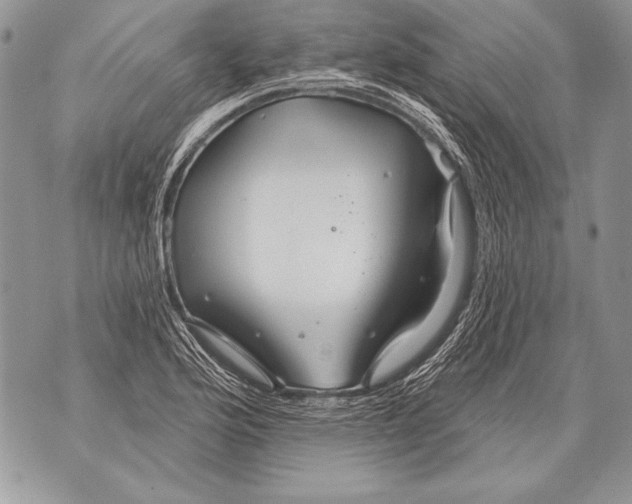 X0000071851176200607290125