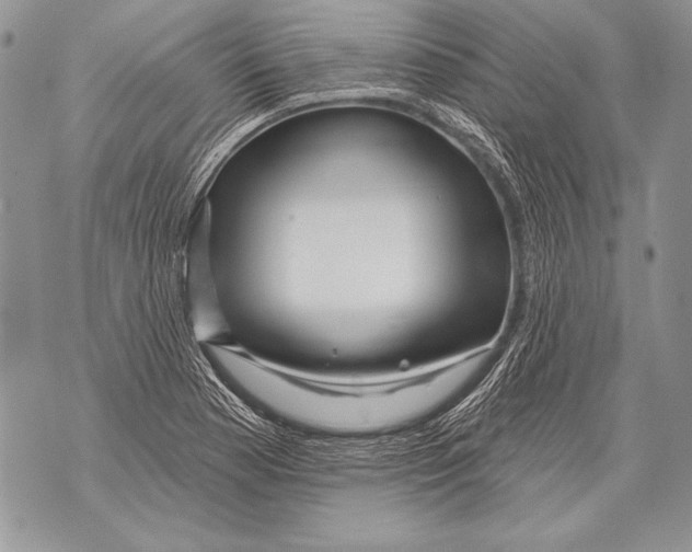 X0000071851177200607290125