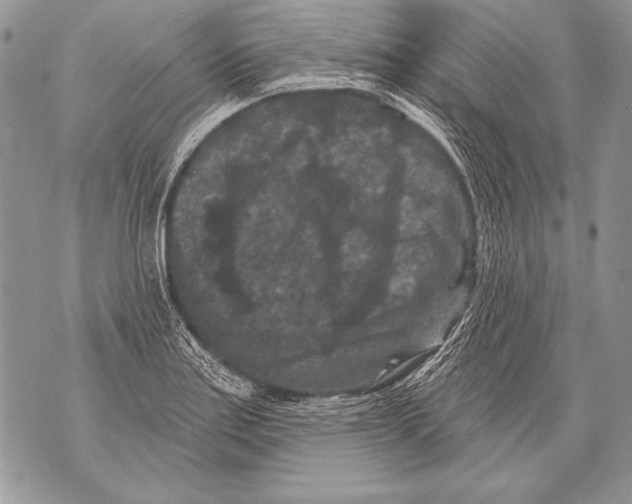 X0000071851179200607290125