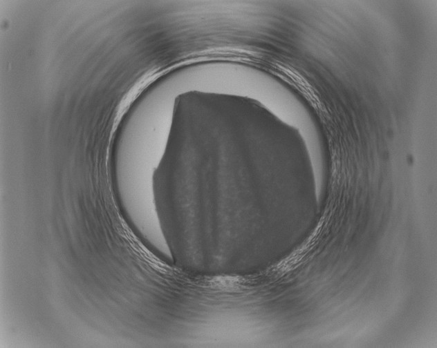 X0000071851180200607290125