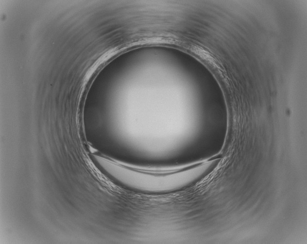 X0000071851181200607290125