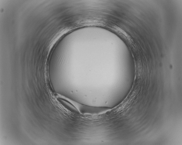 X0000071851182200607290125