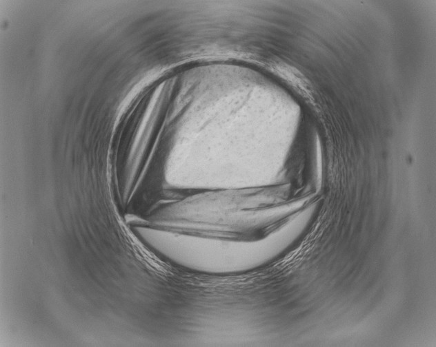 X0000071851183200607290125